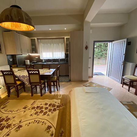 Vila Violeta 1 Vlorë 外观 照片
